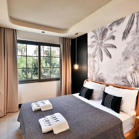 فندق Luff كاس